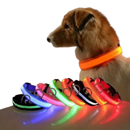 Coleira de segurança noturna em nylon com LED