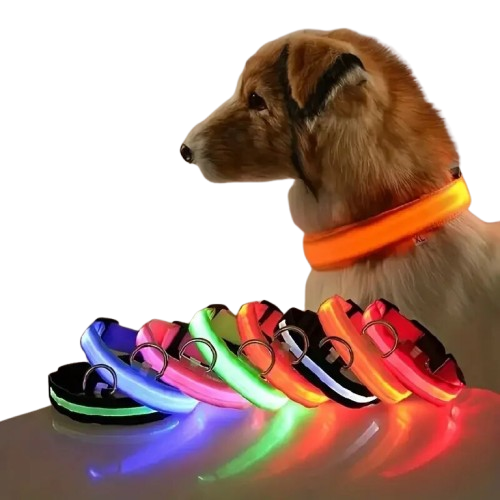 Coleira de segurança noturna em nylon com LED