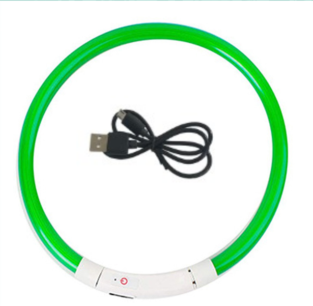 Coleira noturna luminosa LED