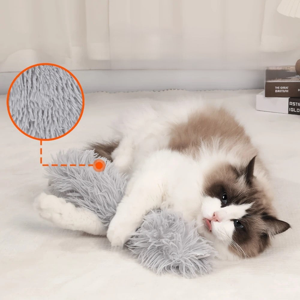 Jouet en peluche à plumes pour chats