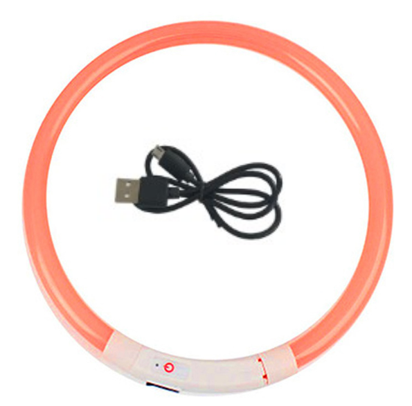 Coleira noturna luminosa LED