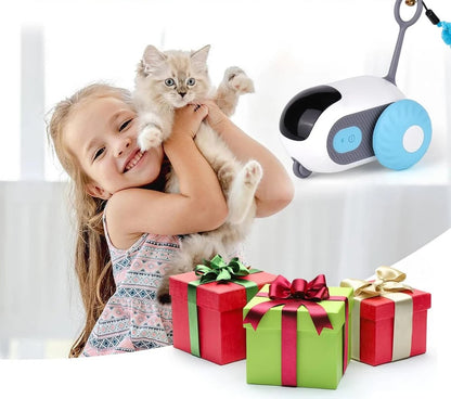 Smart cat toy