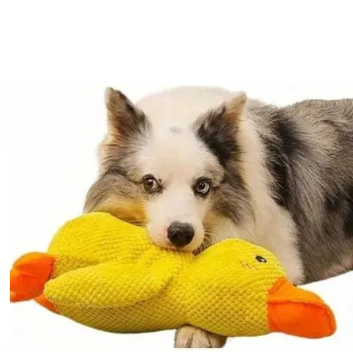 Plush duck toy for your pet