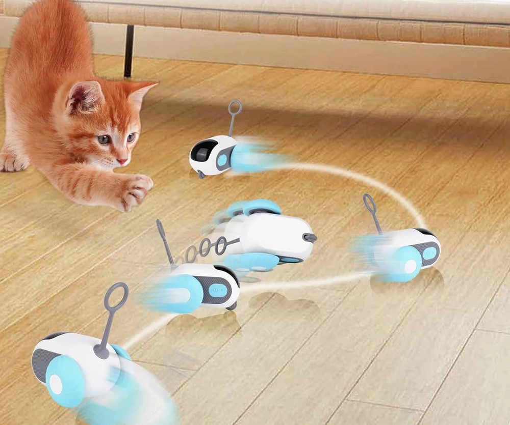 Smart cat toy