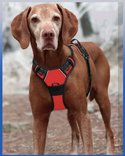 Harnais anti-traction pour chien avec réflecteur