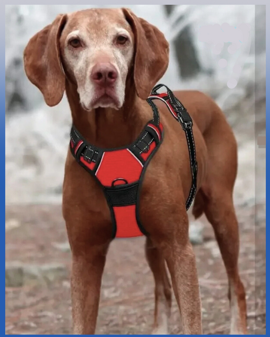 Arneses antipuxão com refletor para cães