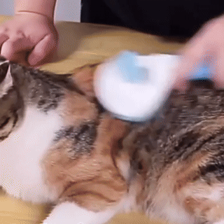 Escova Premium para Cães e Gatos, Pente Autolimpante para Remover Pelos, Ferramenta de Higiene e Cuidados com Animais de Estimação.