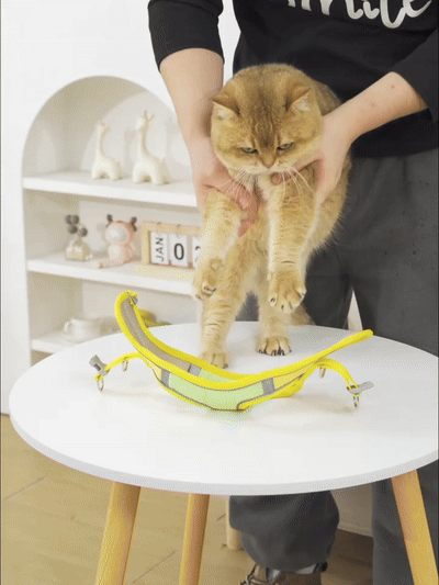 Harness for dogs and cats