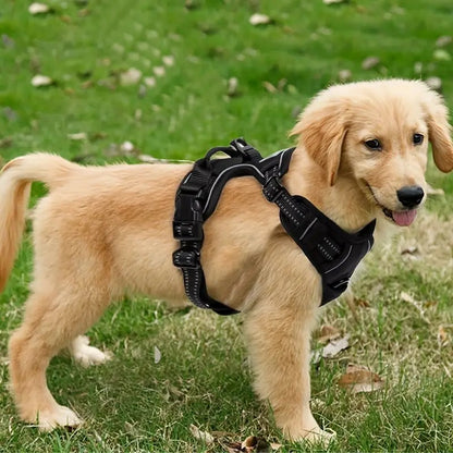 Large Dog Chest Harness with Reflector