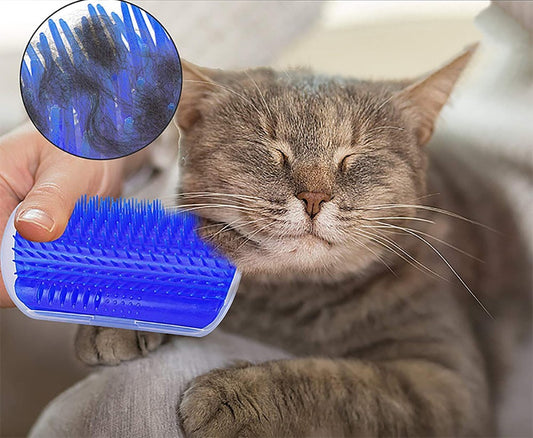 Griffoir pour chat