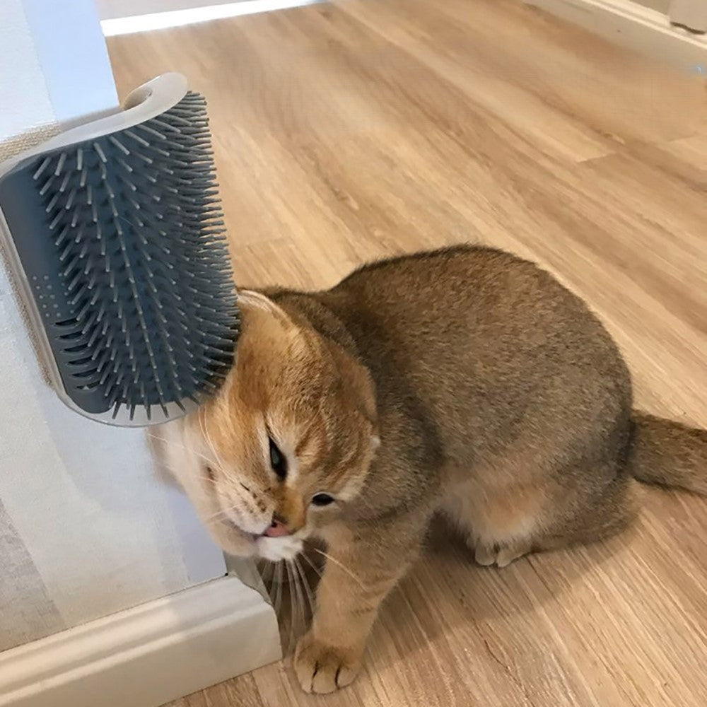 Arranhador para Gatos