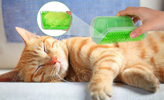 Griffoir pour chat