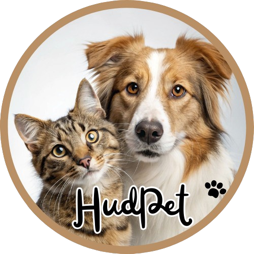 Hudpet
