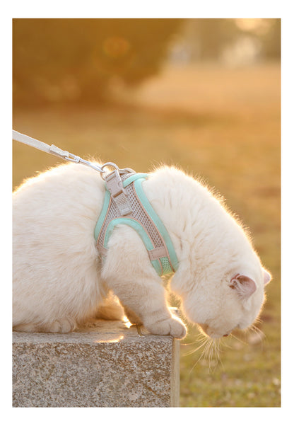 Harness for dogs and cats