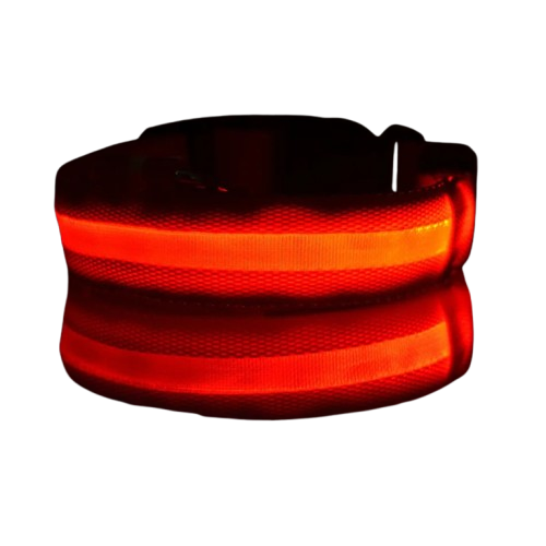 Coleira de segurança noturna em nylon com LED