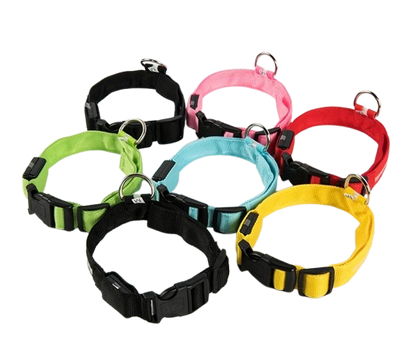 Coleira de segurança noturna em nylon com LED