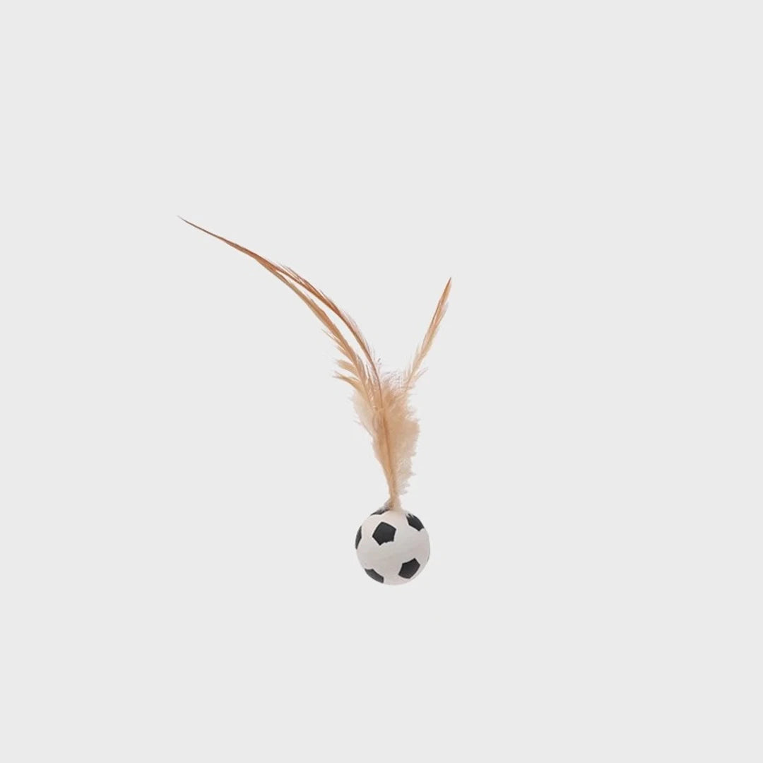 Interactive balls for pet cats