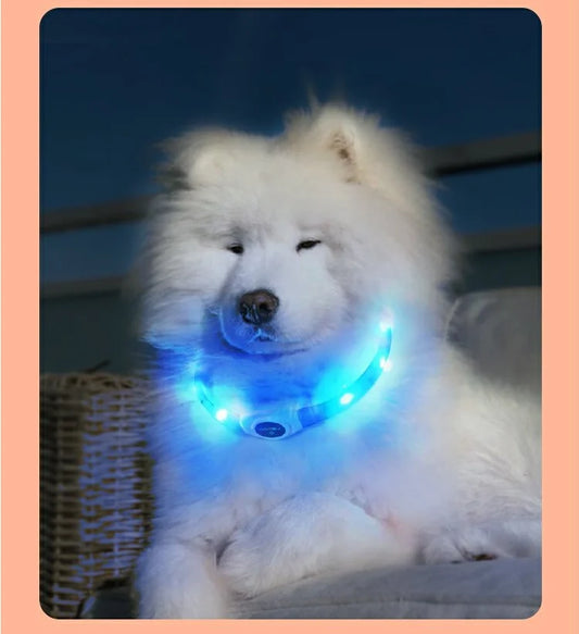 Coleira luminosa LED para cães PVC