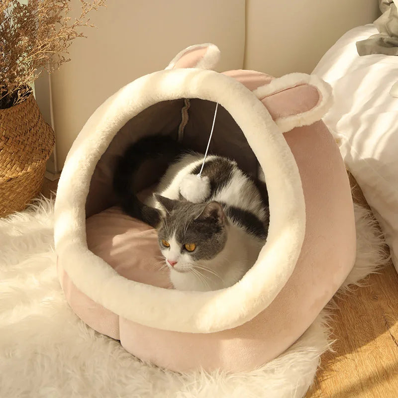 Lit et tente pour chats et chiens