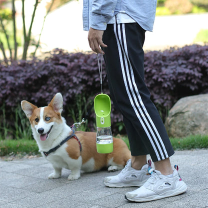 Bouteille d'eau et de nourriture 2 en 1 pour chiens et chats