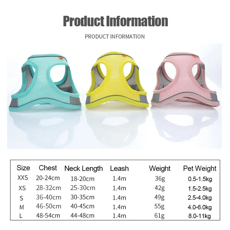Harness for dogs and cats