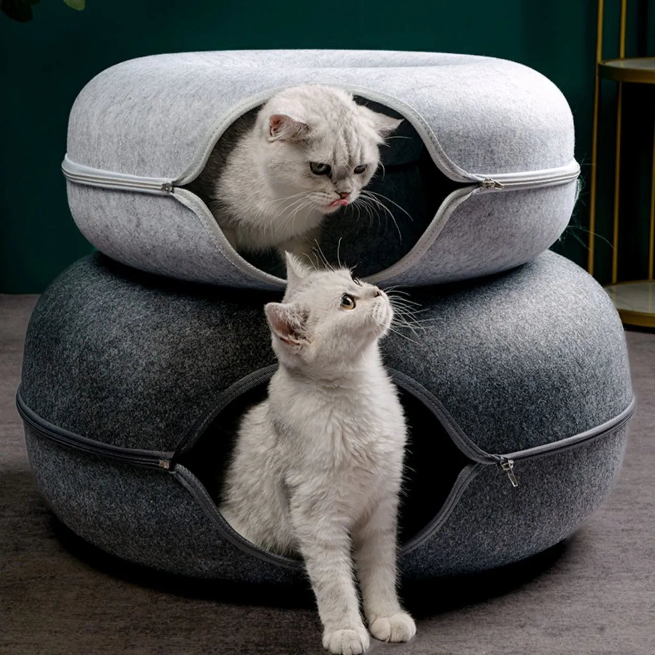 Túnel em Donut para gatos