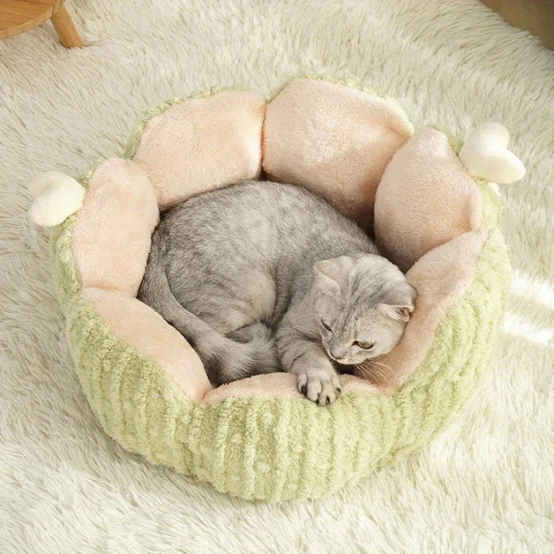 Sweet Home plush toy for cats and dogs
