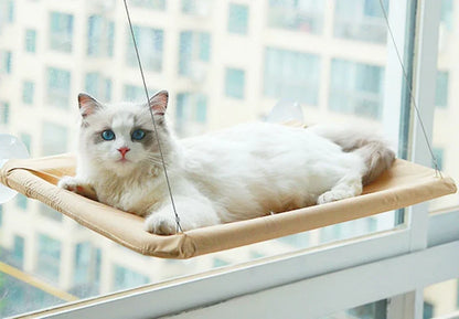 Rede suspensa para gatos