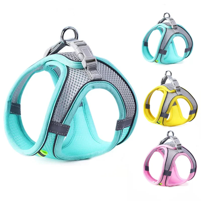 Harness for dogs and cats