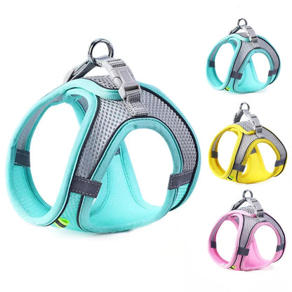 Harness for dogs and cats