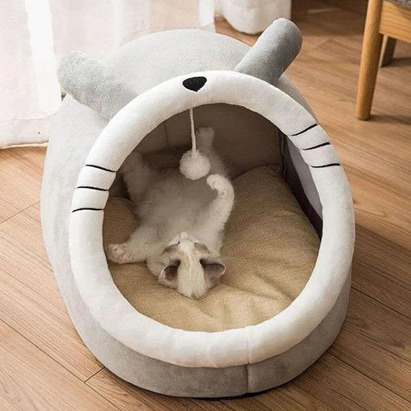 Lit et tente pour chats et chiens