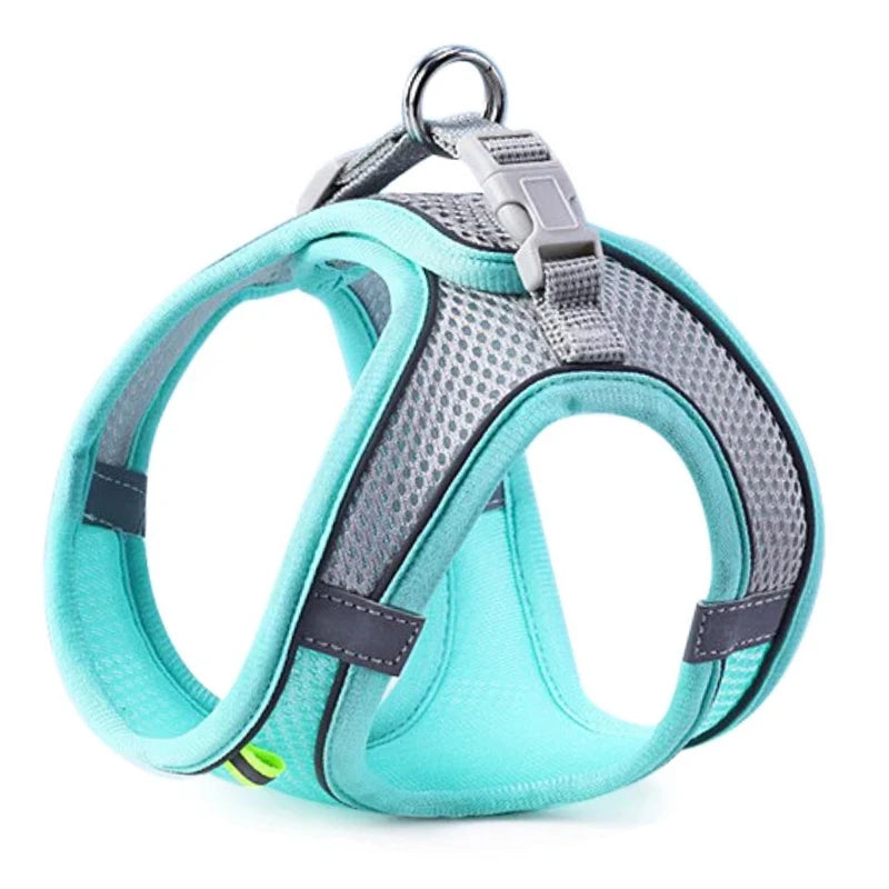 Harness for dogs and cats