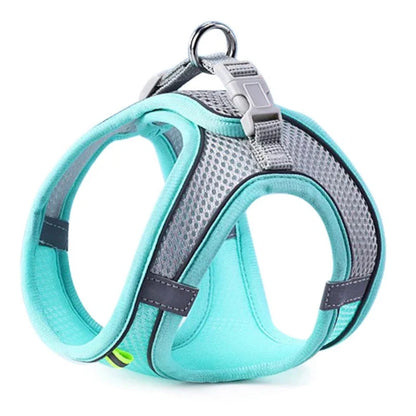 Harness for dogs and cats