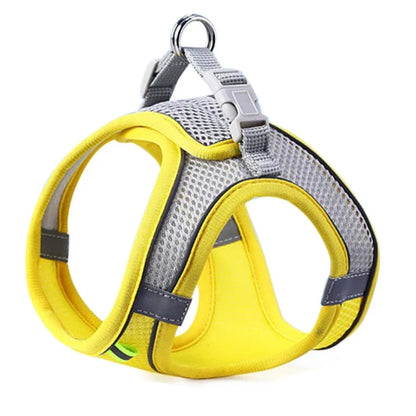 Harness for dogs and cats