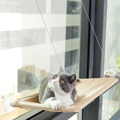 Rede suspensa para gatos