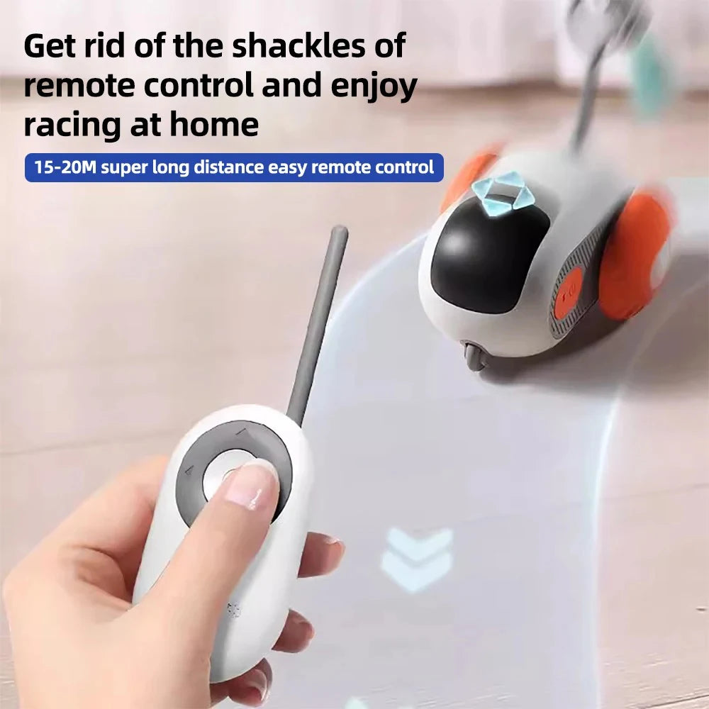 Smart cat toy