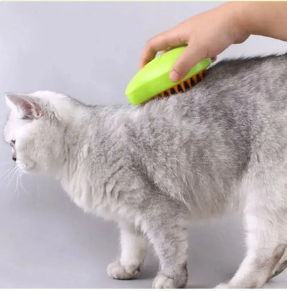 Electric Steam Brush 