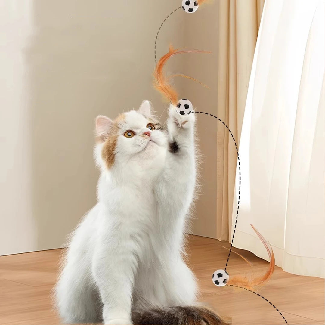 Interactive balls for pet cats