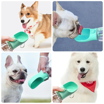 Garrafa de água portátil para cães e gatos