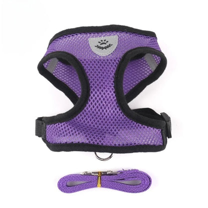 Adjustable chest collar for cats and puppies.