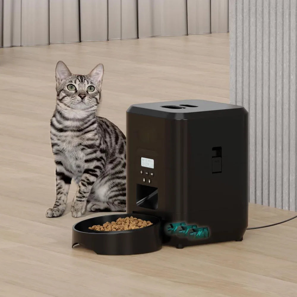Automatic feeder for dogs and cats