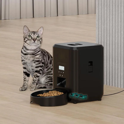 Automatic feeder for dogs and cats