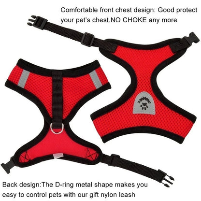 Adjustable chest collar for cats and puppies.