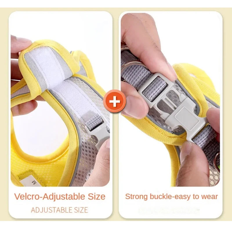 Harness for dogs and cats