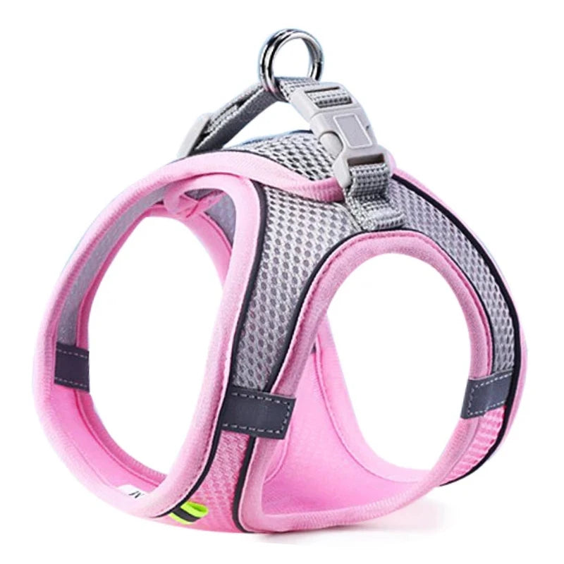 Harness for dogs and cats
