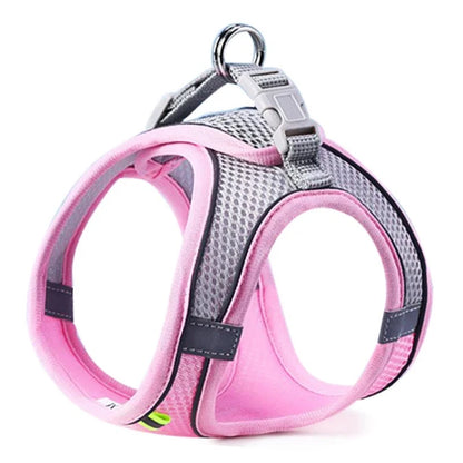 Harness for dogs and cats
