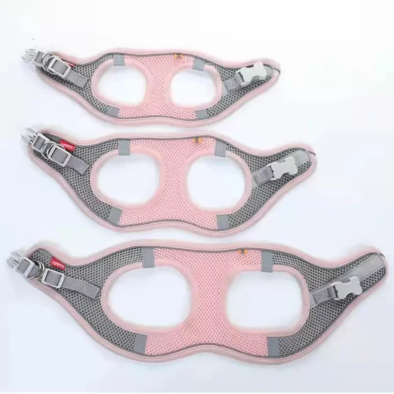 Harness for dogs and cats