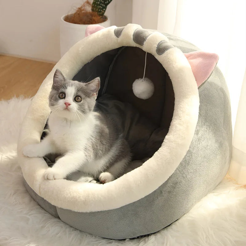 Lit et tente pour chats et chiens