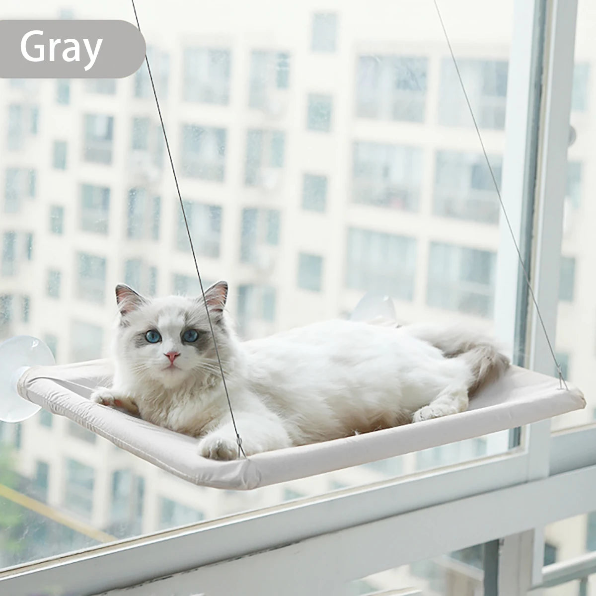 Rede suspensa para gatos