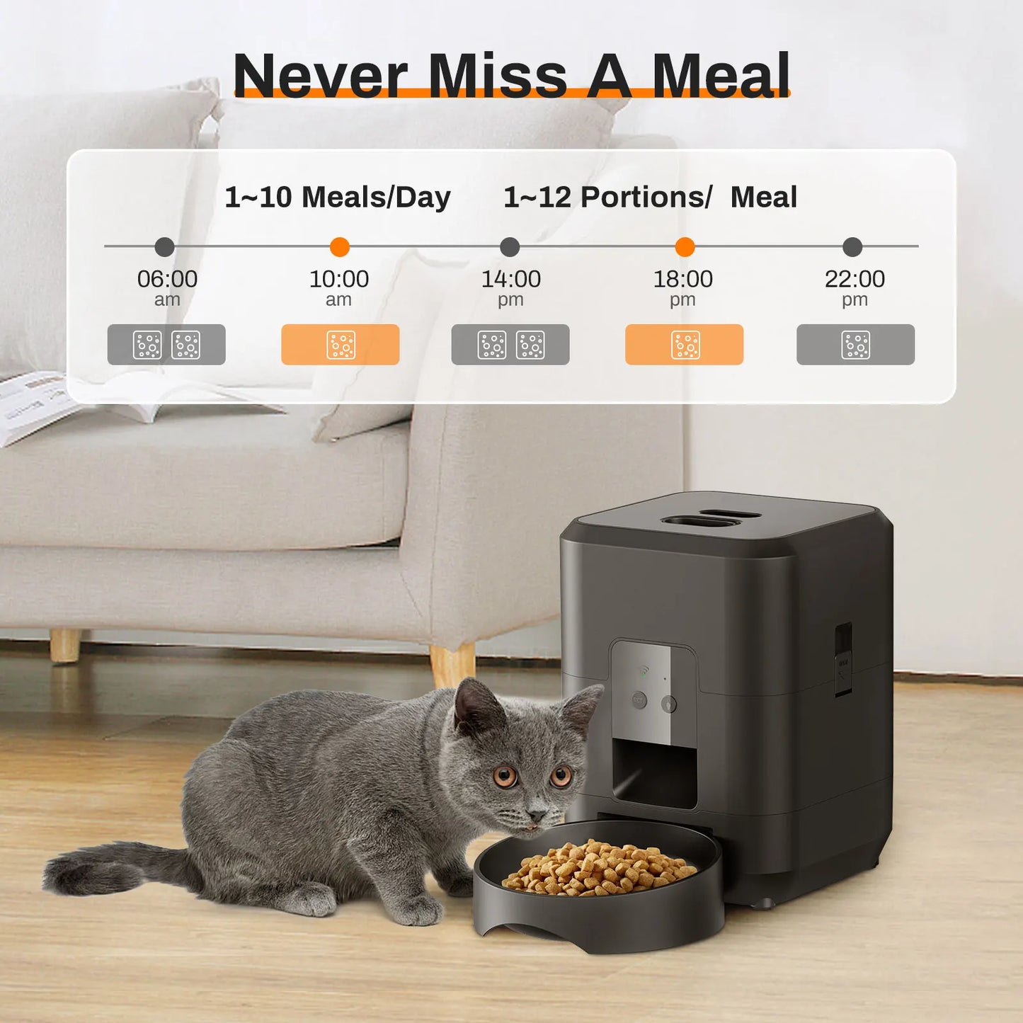Automatic feeder for dogs and cats
